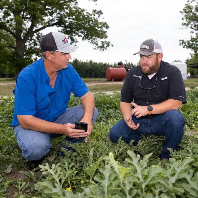 thumbnail for publication: Participatory Action Research in Agriculture: An Introduction